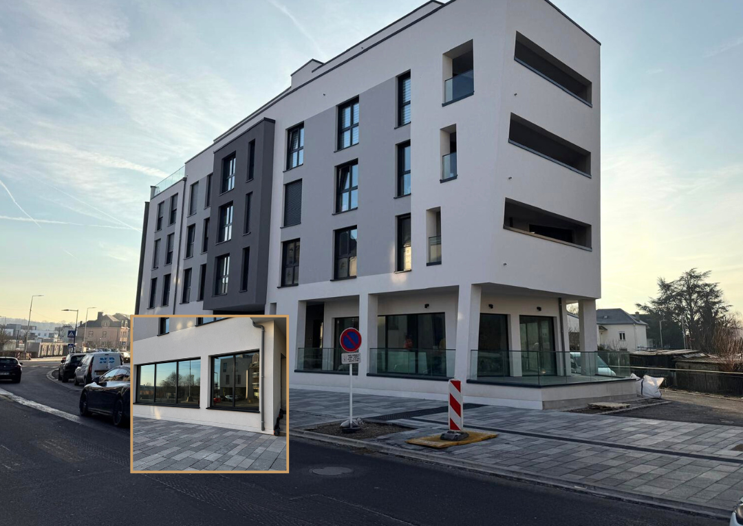 ladiesparadisprésentation (1080 x 765 px)