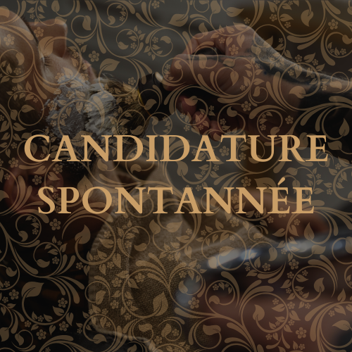 candidaturespontannee